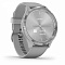 Умные часы Garmin Vivomove 3 44мм Серебристый